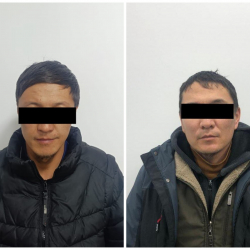 Чүй облусунда ири өлчөмдө алдамчылык кылган шектүүлөр кармалды