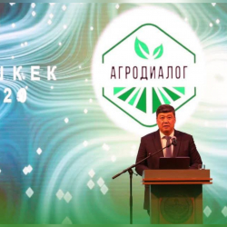 Катар менен Кытайдан келген адистер “Агродиалог–2026”да тажрыйба бөлүшөт