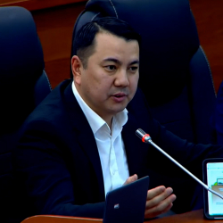 Эки парламенттик топ Марлен Маматалиевди парламенттин төрагасы кызматына талапкер кылып көрсөттү