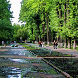 Бишкектеги сейил бактарда соода орундары ижарага берилет