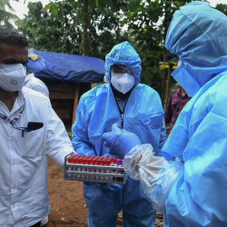 ДССУ: Нипах вирусунун жайылуу коркунучу төмөн