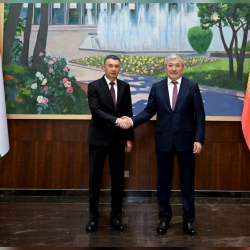 Кыргызстан менен Тажикстандын соода жүгүртүүсү 24 эсеге өсүп, 36 млн долларды түздү