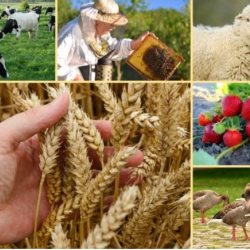 “Агродиалог–2026” агроөнөр жай форумунда 100дөн ашуун меморандумга кол коюлушу күтүлүүдө.