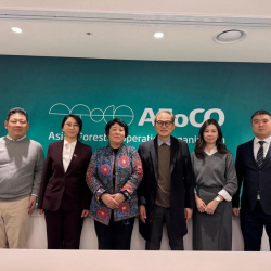 Динара Кемелова Кореяда бир катар эл аралык уюмдар жана корей тарап менен тоо маселелери боюнча консультацияларды өткөрдү