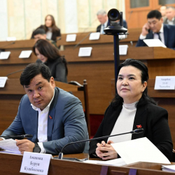 Тармактык комитетте тилемчиликтин деңгээлин төмөндөтүүгө багытталган мыйзам долбоору биринчи окууда жактырылды