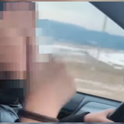 Кичинекей кызга унаа айланткан ата-энеге айып пул салынды