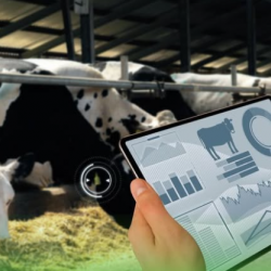 Ветеринардык дары каражаттарын каттоо жана сертификаттоо боюнча автоматташтырылган маалыматтык система иштелип чыгууда