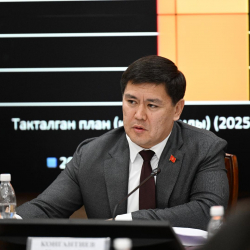 Комитет Кыргызстандагы жолдордун абалы тууралуу маалымат алды