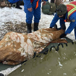 Кар көчкү алдында калган чабандын сөөгү табылды