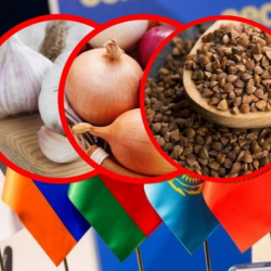 ЕАЭБде фитосанитардык сертификаттарды берүү эрежелери катаалдаштырылды