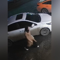 Пропавшую в Бишкеке 17-летнюю девушку нашли в Караколе