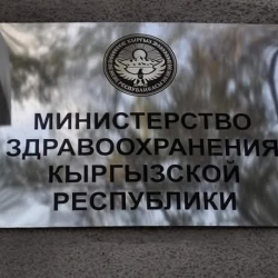 Министрлик дарыгер-нефрологдун кармалышы боюнча комментарий берди