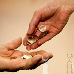 Муфтият битир-садаганын өлчөмүн бекитти