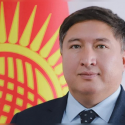 Ош мэринин дагы бир орун басары кызматтан кетти