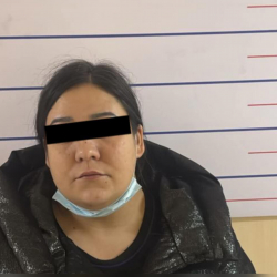 Бишкекте алдамчылыкка шектелген аял кармалды