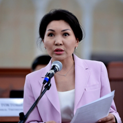 Элвира Сурабалдиева эл аралык иштер комитетинин төрайымы болуп шайланды