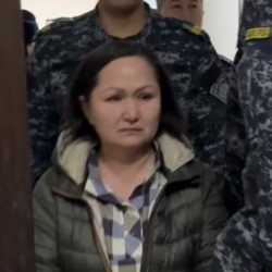 Дарыгер-нефролог Назира Бейшебаева үй камагына чыгарылды