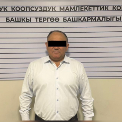 Министрдин орун басарынын кармалышы боюнча УКМК билдирүү таратты