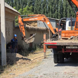 Жалал-Абад облусунда 3534 даана мамыча орнотулат