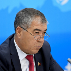 ЦИК досрочно прекратил полномочия депутата ЖК Кундузбека Сулайманова