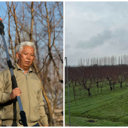 Бак кыйылса багың кыйылат: Белгилүү тарыхчы Кыяс Молдокасымов акыйкаттык издей турганын билдирди