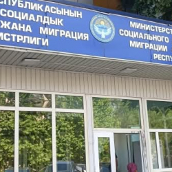 Жарандарды чет өлкөгө жөнөтүүгө лицензия алган компаниялардын тизмеси жарыяланды