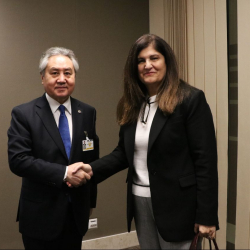 Состоялась встреча Министра Жээнбека Кулубаева с Министром иностранных дел Палестины Варсен Агебекян-Шахин