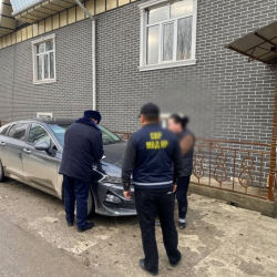 Алдамчылык жана жасалма документ даярдоого шектүү кармалды