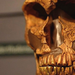 Азербайжанда 80 миң жыл мурда жашаган адамдын сөөгү табылды