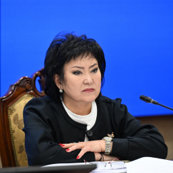 Гүлкан Молдобекова Эмгек, саламаттык сактоо, аялдар иштери жана социалдык маселелер боюнча комитетинин төрайымы болуп шайланды