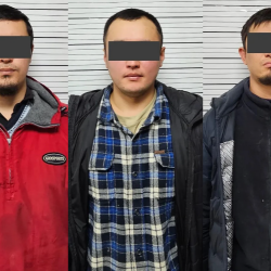 Токтогулда баңгизатын мыйзамсыз даярдап жүргөн жарандар кармалды