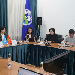 В Минприроды КР состоялись консультации по итогам реализации Рамочной программы ООН и приоритетам на 2026–2027 годы