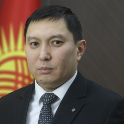 Өзгөчө кырдаалдар министринин дагы бир орун басары дайындалды