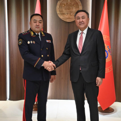 Прошла встреча Министра внутренних дел с Генеральным секретарем ОТГ