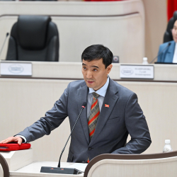 Медер Алиев төраганын биринчи орун басары болду