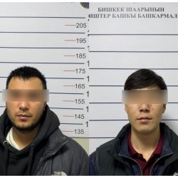 Бишкекте 22 млн сомдон ашык суммадагы ири алдамчылыкка шектүүлөр кармалды