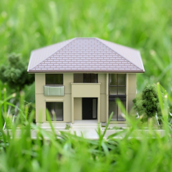 ВИДЕО - Оштогу мыйзамсыз берилген 1,05 гектар жер мамлекетке кайтарылды