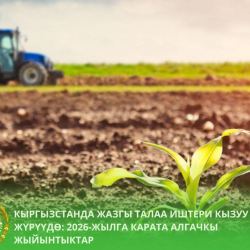 Кыргызстанда жазгы талаа иштери кызуу жүрүүдө: 2026-жылга карата алгачкы жыйынтыктар