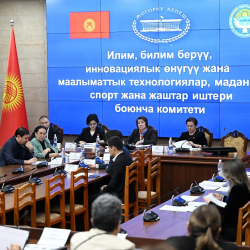 Венчурдук каржылоо маселелери боюнча мыйзамга киргизилип жаткан өзгөртүүлөр биринчи окууда колдоо тапты