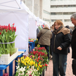 Бишкекте жоогазын фестивалы башталды