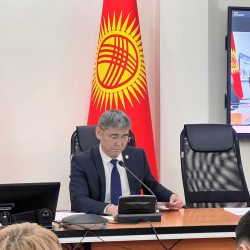 Саламаттык сактоо министрлигинде перинаталдык кызматты өнүктүрүү жана 2030-жылга чейинки негизги милдеттер талкууланды