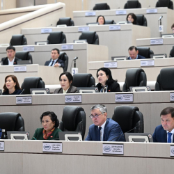 Депутаттар таштанды заводун куруу, социалдык объектилерди реконструкциялоо маселелерин козгошту