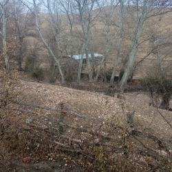 Өзгөндө жайыт жерди мыйзамсыз ээлеп алгандарга айып салынды