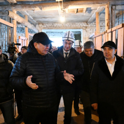 СҮРӨТ - Марлен Маматалиев: «Малдын санын эмес, сапатын көтөрүүгө басым жасашыбыз керек»