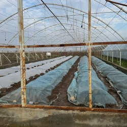 Айгыр-Жал участкасында мөмө жемиш сактоочу логистикалык борбор ишке берилүүгө даяр