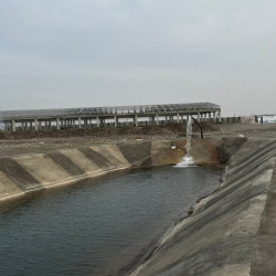 Жалал-Абадда 6 килограммга чейинки балык өстүрүүчү заманбап кластер түзүлүүдө