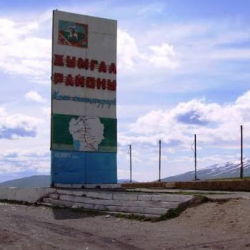 В Жумгальском районе выявлены факты незаконной передачи в аренду земель лесного хозяйства