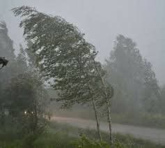 Бир саат аралыгында Бишкек жана Чүй өрөөнүндө катуу шамал күтүлөт