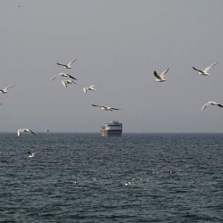 Трамп пригрозил сильными ударами при остановке потока нефти в Ормузском проливе