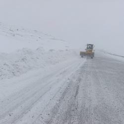 Ашуулардагы абал: Сосновка жана Арал постторунда киргизилген чектɵɵлɵр  күчүндө